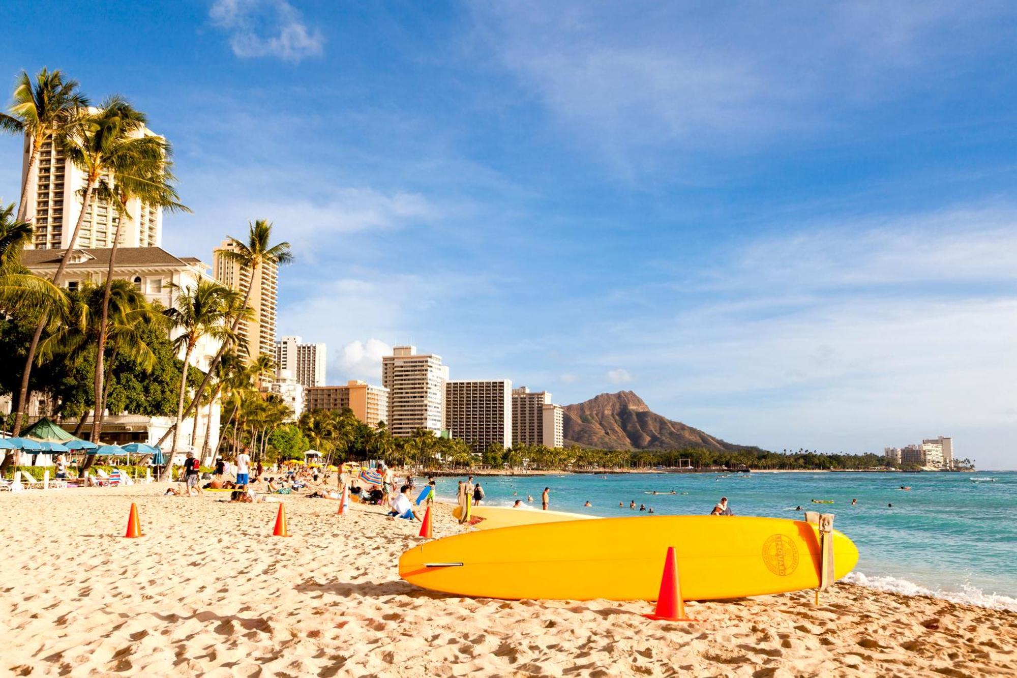 Renovated Ocean View Suite, Near Beach, Free Parking Honolulu Ngoại thất bức ảnh