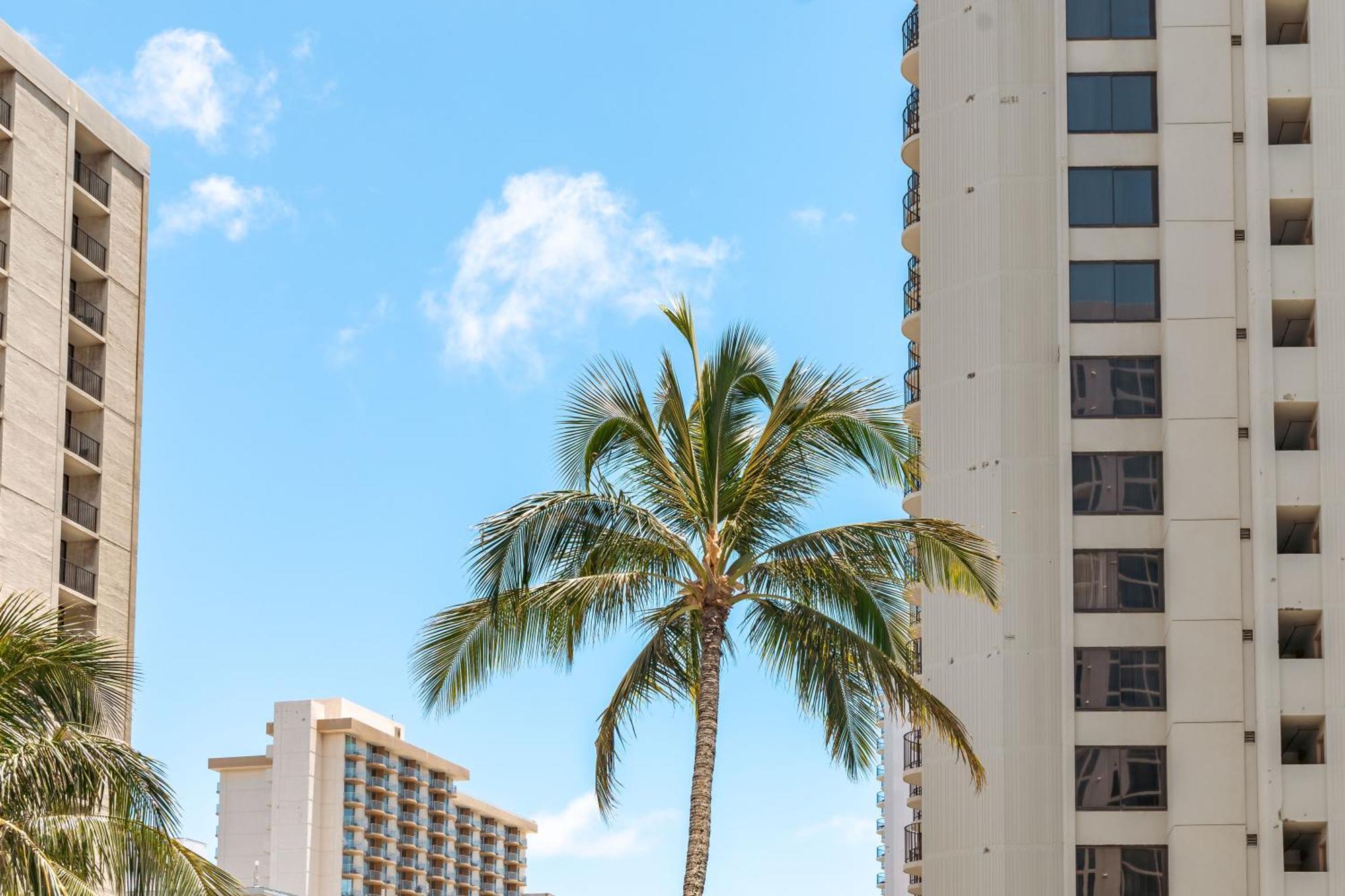Renovated Ocean View Suite, Near Beach, Free Parking Honolulu Ngoại thất bức ảnh